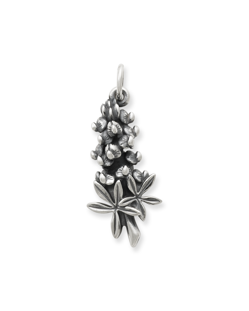 Bluebonnet Charm